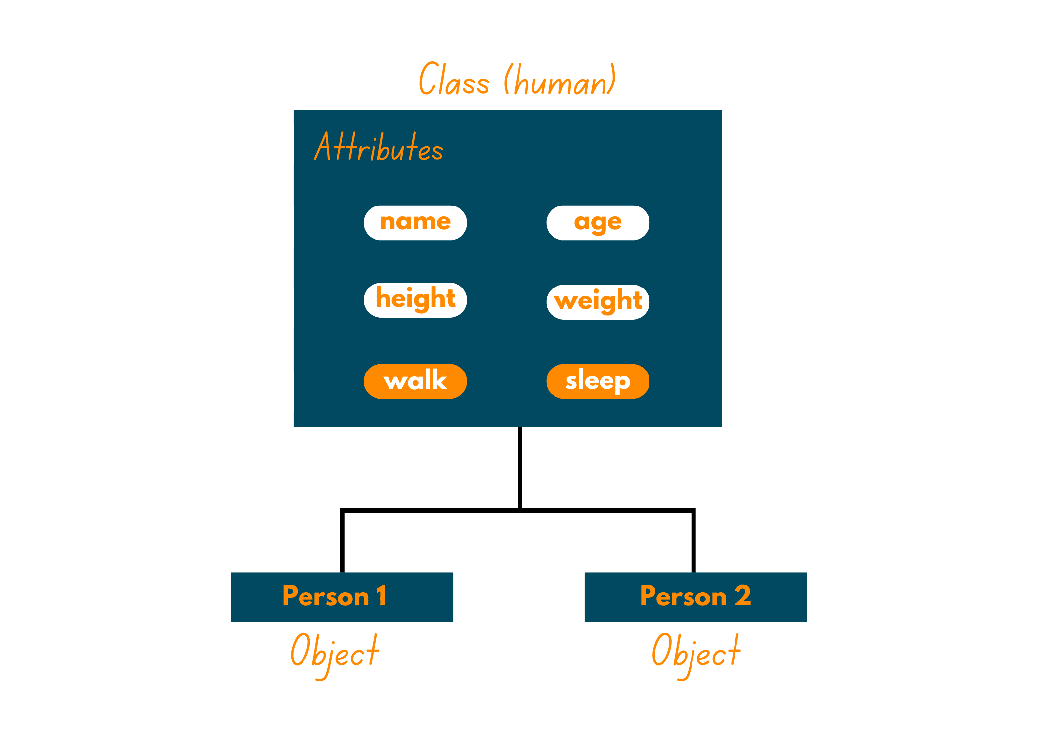 declare object attributes